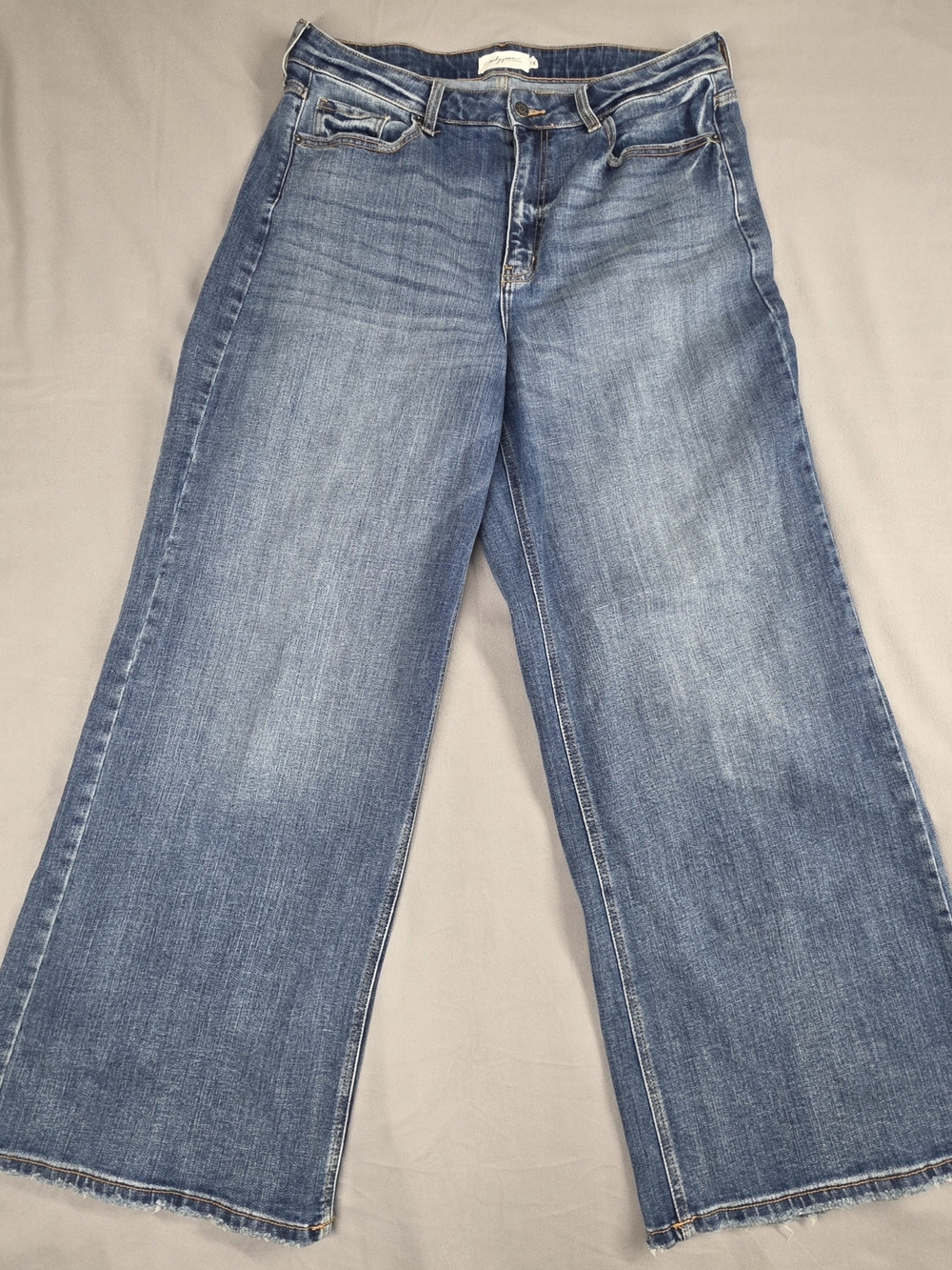 Carly Jean Los Angeles Holland Wide-Leg Jeans in Faded Blue